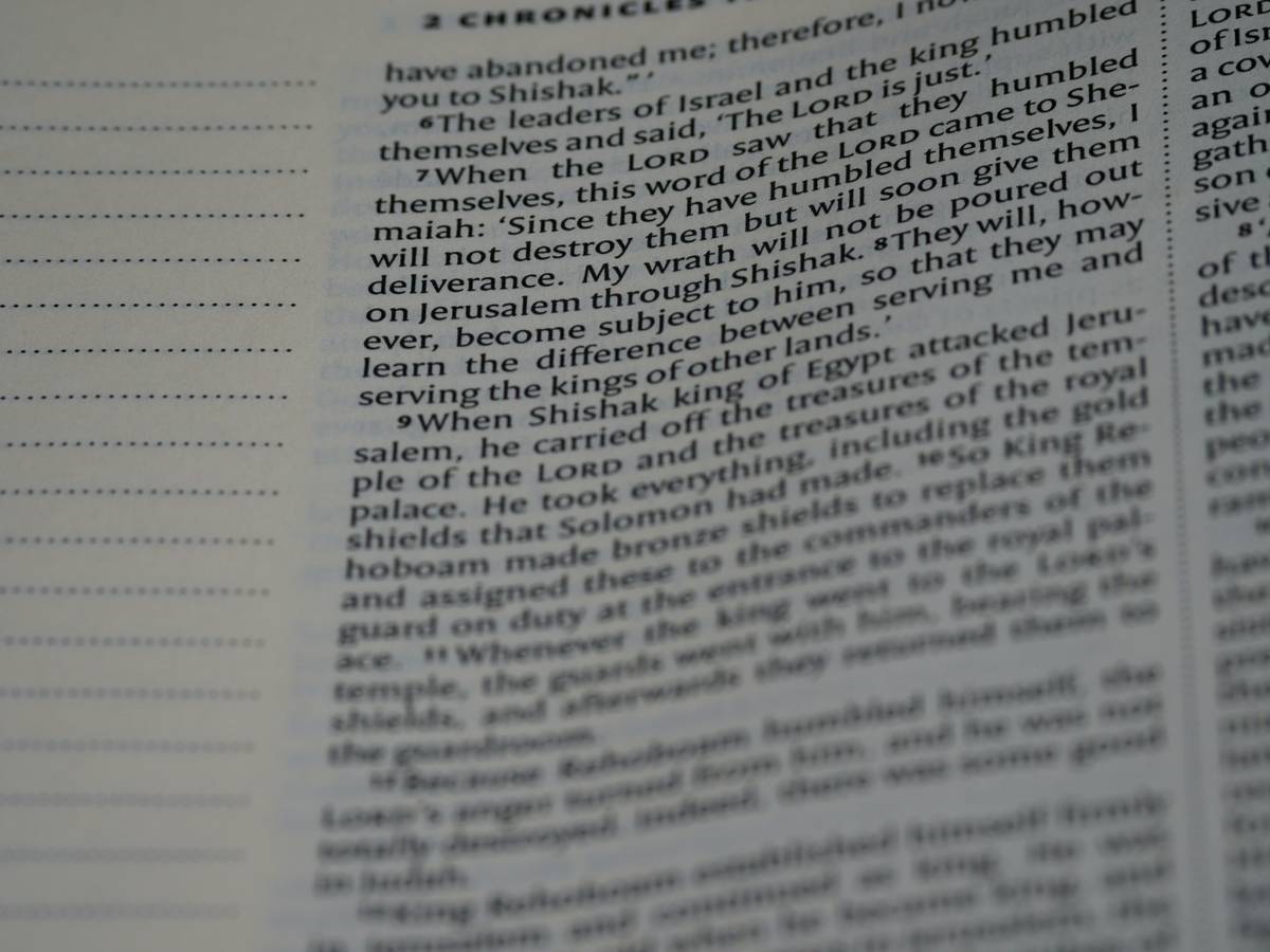 Infographic showing how price protection works